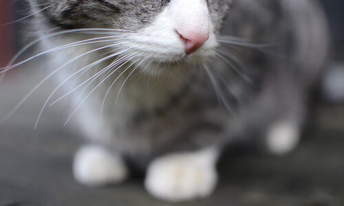 国际热身赛U23国足战平 技术执行需提升，u22热身赛