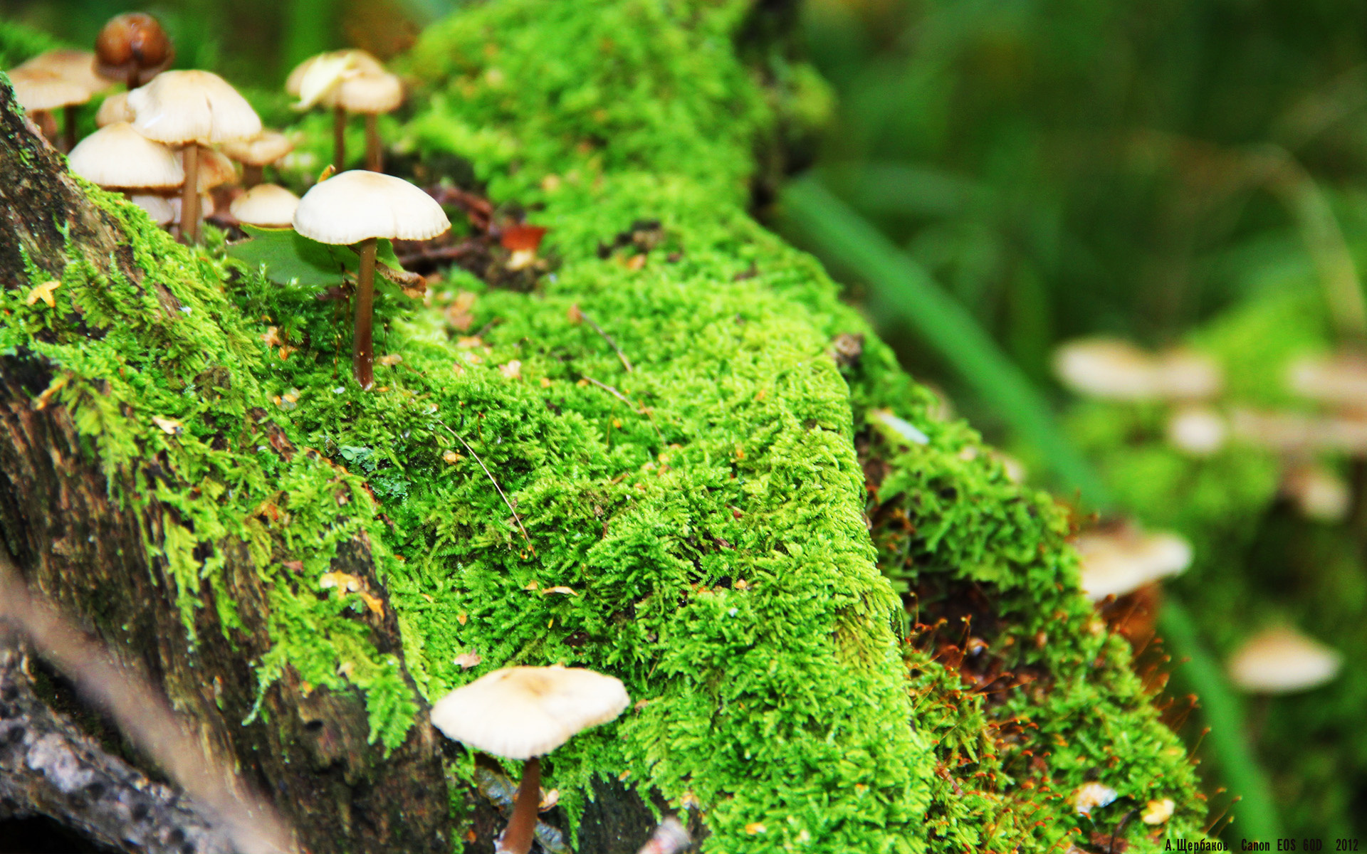 攻防大比拼:比赛中的精彩配合与技术细节,攻防战术基础配合教学与训练应注意哪些问题