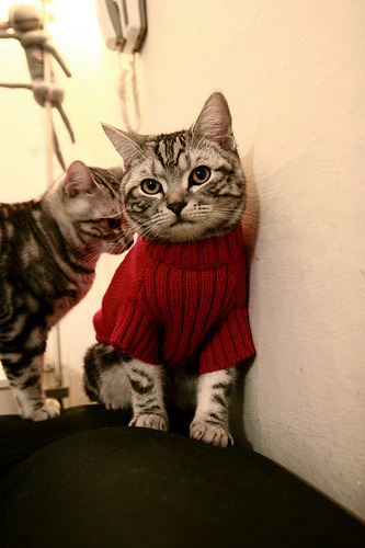 LCK强队战术全面升级打法更具侵略性,lck队伍hle