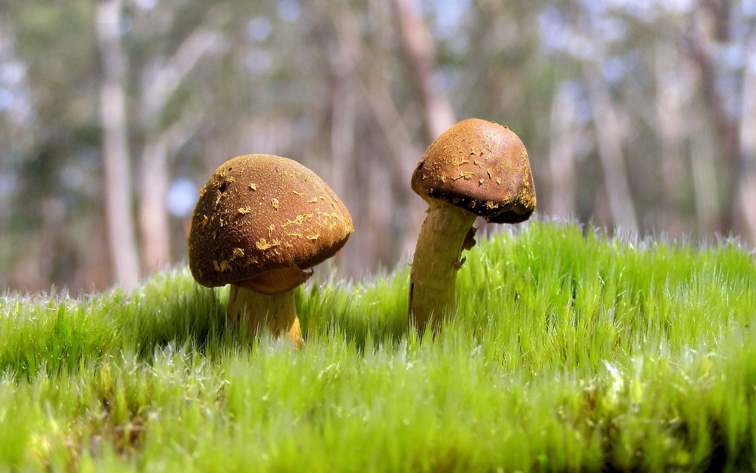 “金牛区城北体育馆:运动舞蹈赛,动感舞步与精湛技巧相结合,挑战自我极限!”