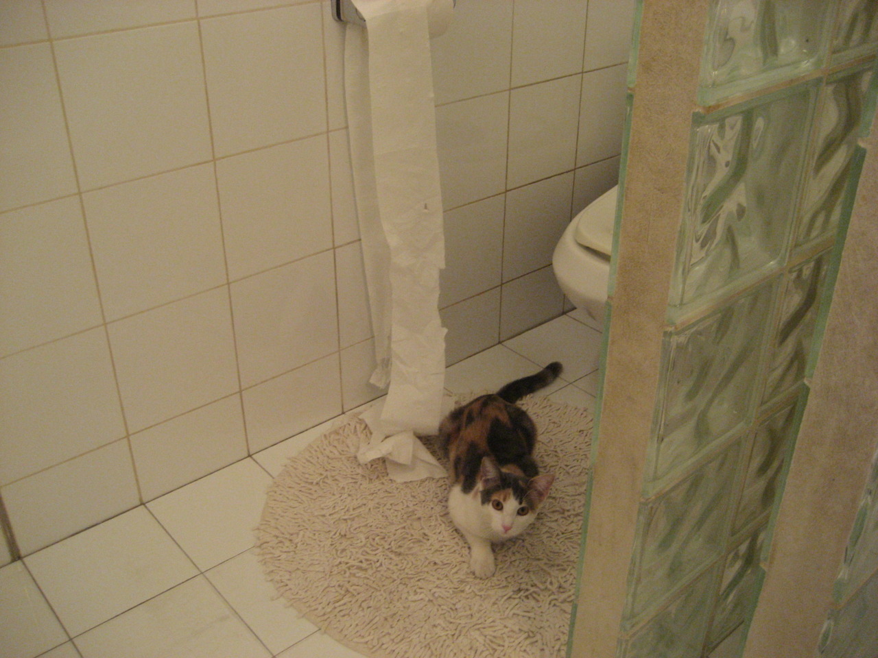 中国香港队在国际乒联混合团体世界杯中如何逆袭强敌,乒乓香港队