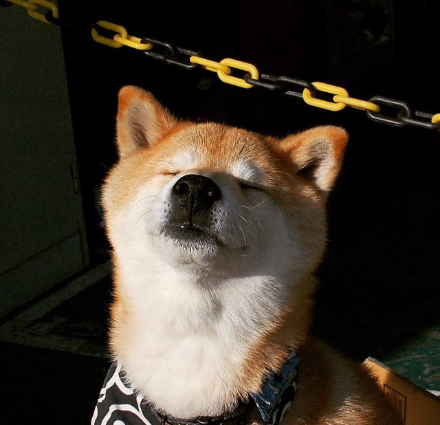 开云体育官方网站登陆-澳大利亚队在国际乒联混合团体世界杯中的表现可圈可点，国际乒联澳大利亚公开赛